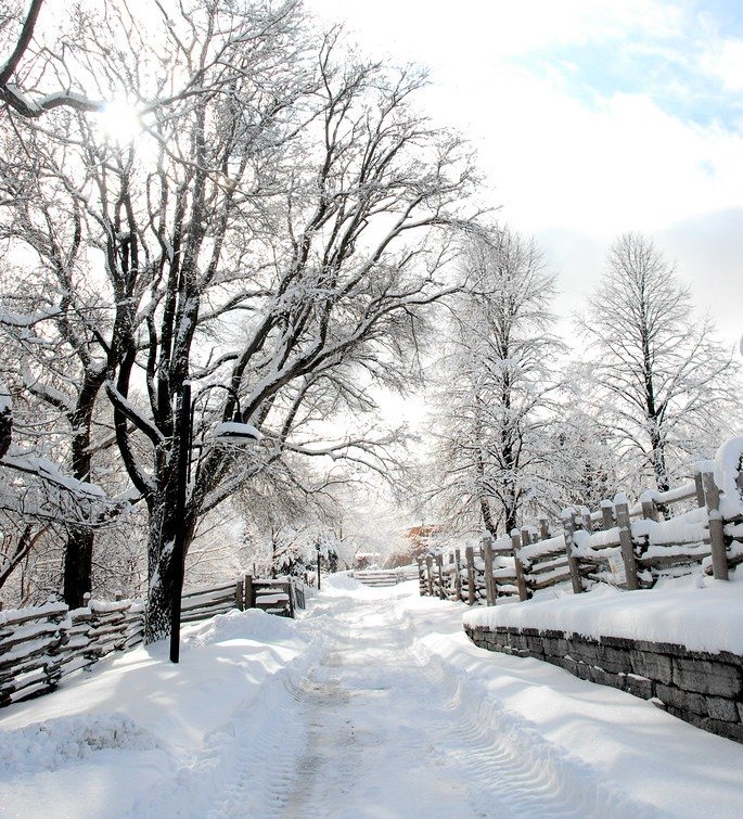 A snow-covered path with tire tracks runs between wooden rail fences and a low stone wall, under snow-laden trees with sunlight coming through the branches.